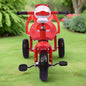 Duck face Kids Tricycle T-230F