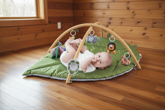 PLAYGYM TOY